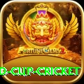2022 world cup cricket Premium Plus v1.5.8