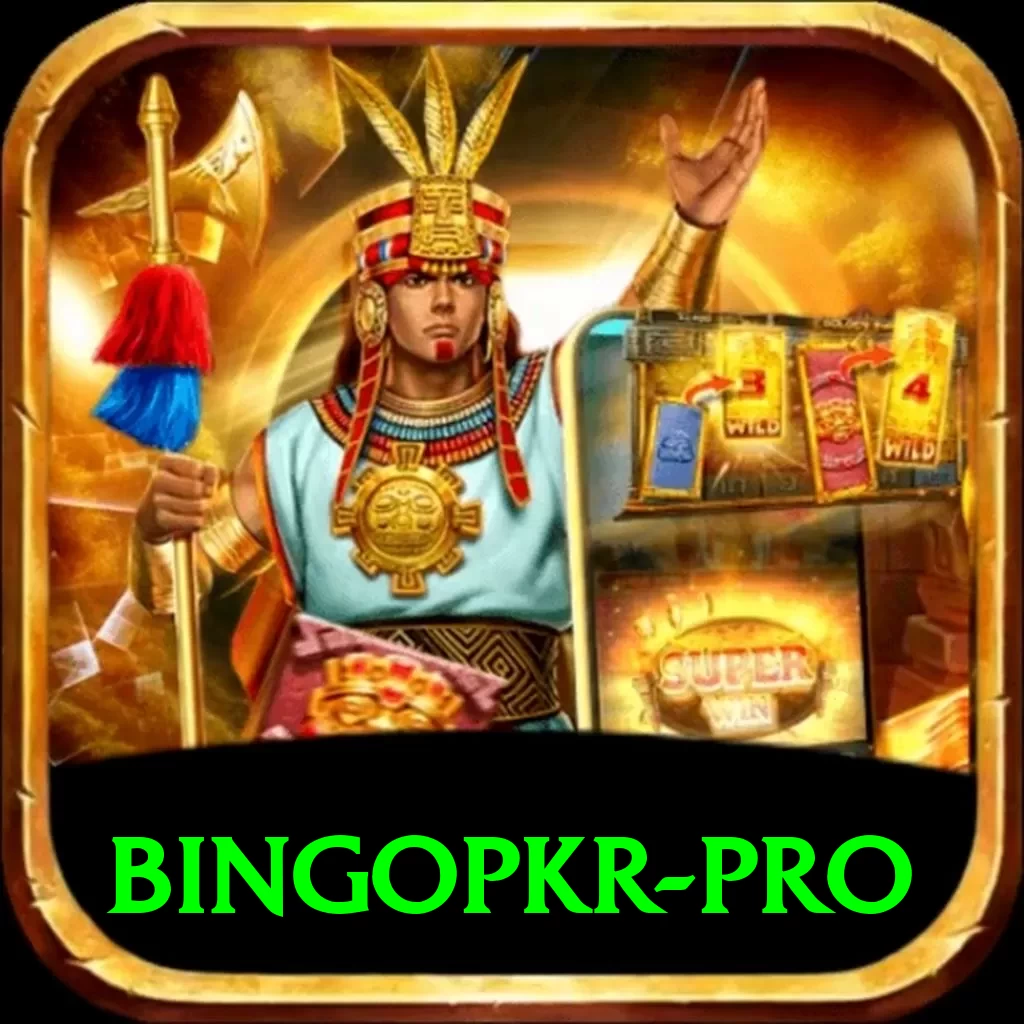 bingopkr Mobile Premium - 2