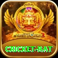 cricket bat Gold Edition v5.9.2