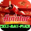 cricket bat App Gold v4.6.5