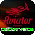 cricket pitch Games (Casino & Earning) Pro v4.9.3