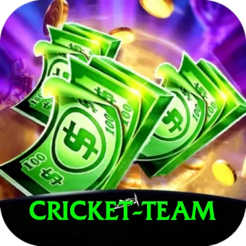cricket team Premium Edition v2.3.4 - 2