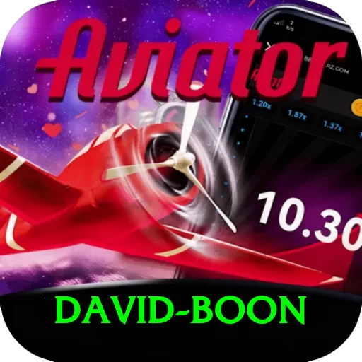 david boon Pro Edition v3.6.4 - 2