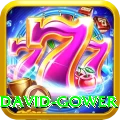david gower VIP v4.8.4
