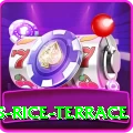 dhampus rice terrace Premium Edition v2.8.4
