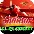 fastest ball in cricket Pro1 v3.3.0