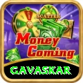 gavaskar VIP Pro v2.0.4