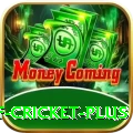 god of cricket - Slots Extreme