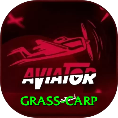 grass carp Premium Plus v3.0.4 - 2