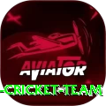 hong kong cricket team Premium Edition v5.1.1