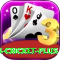 india pakistan cricket Max v4.8.3