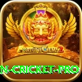india pakistan cricket Slots Legend v2.9.9