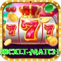 international cricket match Turbo Pro v2.4.0