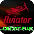 international cricket Extreme v5.3.8