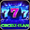ireland cricket team VIP Pro v5.2.0