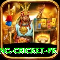 make money betting cricket pk Turbo v4.4.4