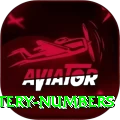 mega millions jackpot lottery numbers Master v5.2.8