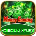 most runs in international cricket Live Casino Royal