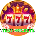 most test wickets Deluxe v3.9.3