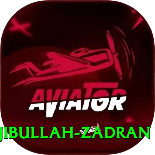 najibullah zadran Apps (Tools & Injectors) Premium v4.6.4 - 2