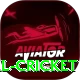nepal cricket Plus Edition v3.0.8