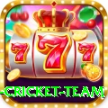 new zealand cricket team VIP Edition v3.6.6