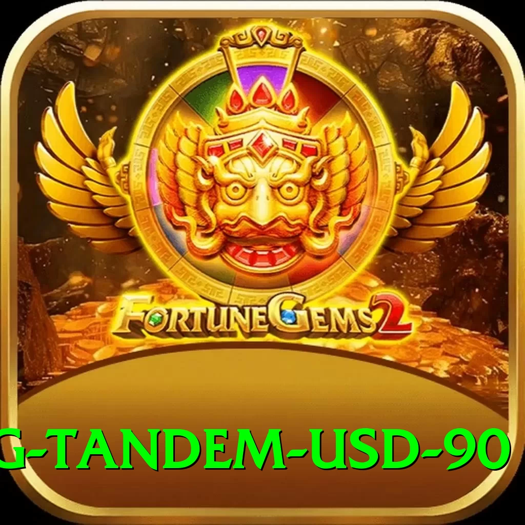 paragliding tandem usd 90 Pro v1.7.4 - 2
