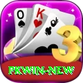 PKWin Official v1.0.9