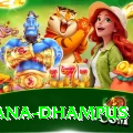 pothana dhampus Elite v5.8.8