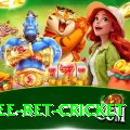 risk free bet cricket Games (Casino & Earning) Gold v2.3.2