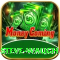 steve waugh Premium Plus v3.4.5