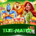 test match Apps (Tools & Injectors) Ultimate v4.7.5