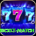 to day cricket match Pro v1.4.5