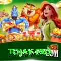 tojay Gaming Prime v3.2.3