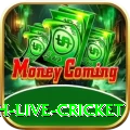 watch live cricket Pro1 v2.3.3